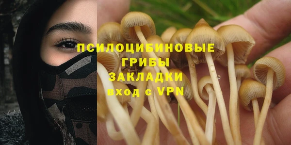 COCAINE Майский