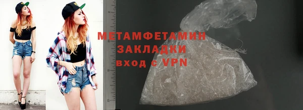 прущие грибы Медвежьегорск
