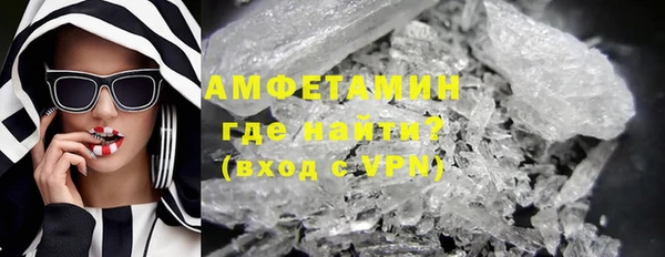 прущие грибы Медвежьегорск