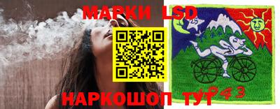 гашик Заволжье