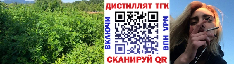 ТГК концентрат  Сосновый Бор 