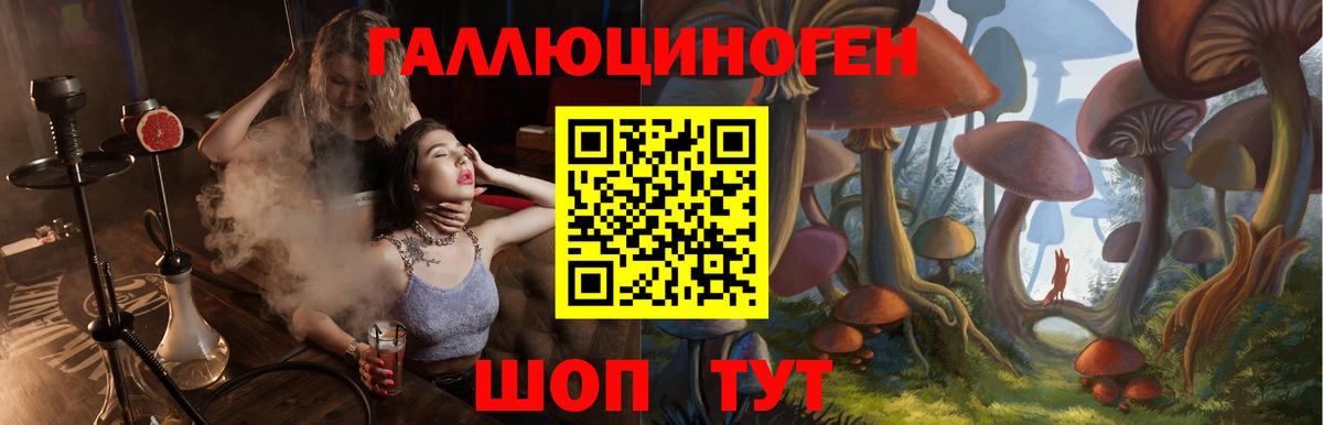 Псилоцибиновые грибы Cubensis Сосновый Бор