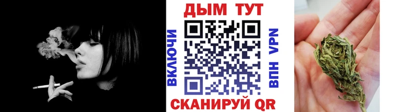 купить   Сосновый Бор  Конопля White Widow 